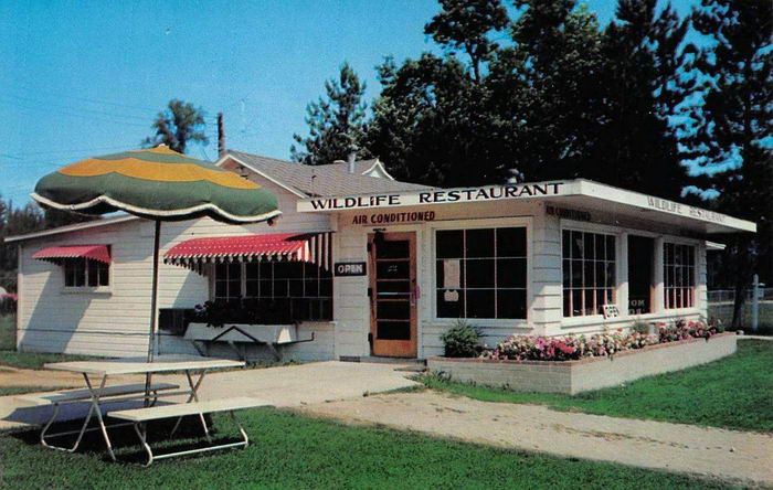 Wildlife Restaurant - Old Postcard